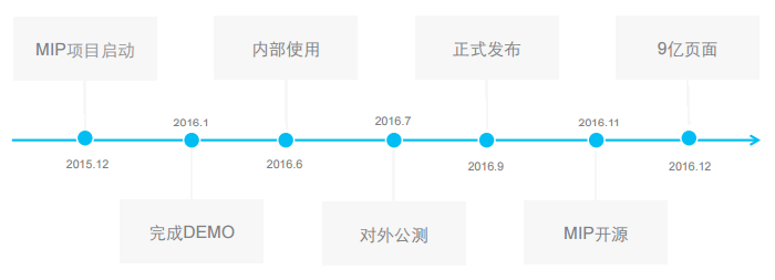 MIP项目始动一周年